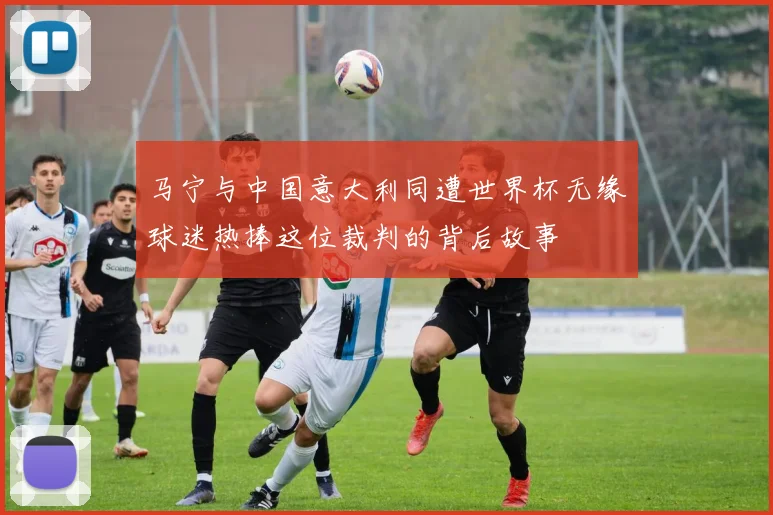 马宁与中国意大利同遭世界杯无缘球迷热捧这位裁判的背后故事